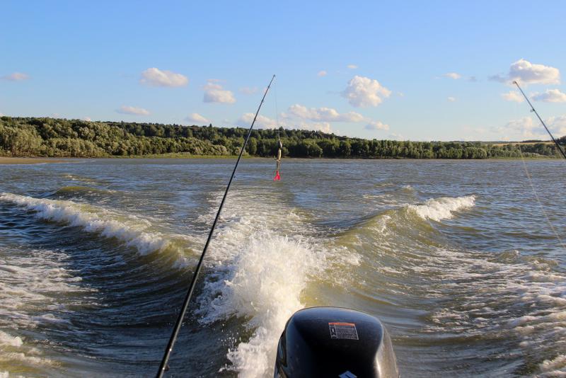 Прикрепленное изображение