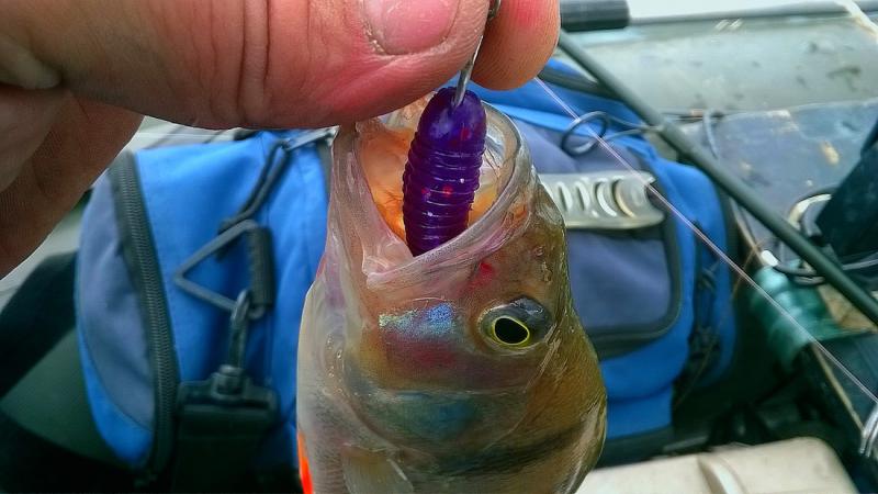 Прикрепленное изображение