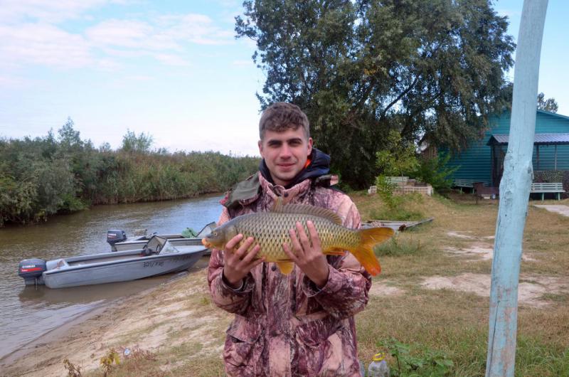 Прикрепленное изображение