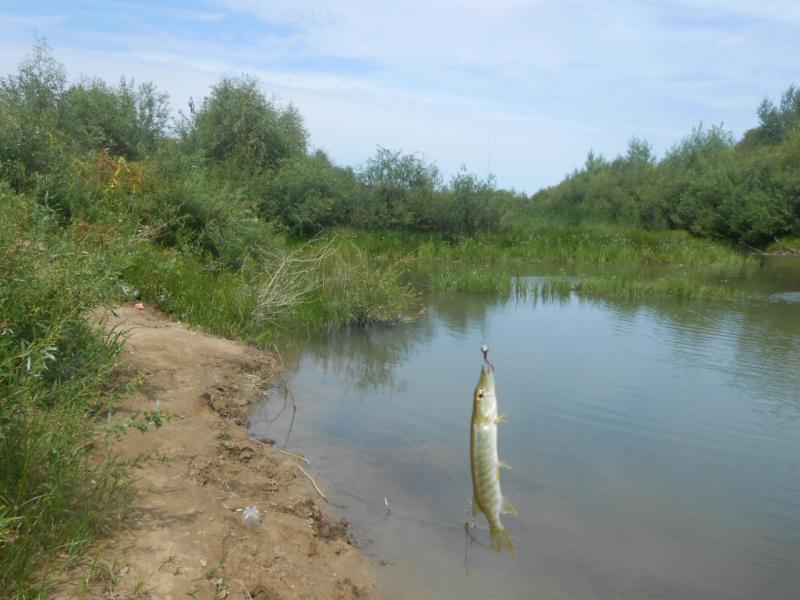 Прикрепленное изображение