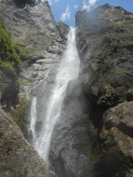 Прикрепленное изображение