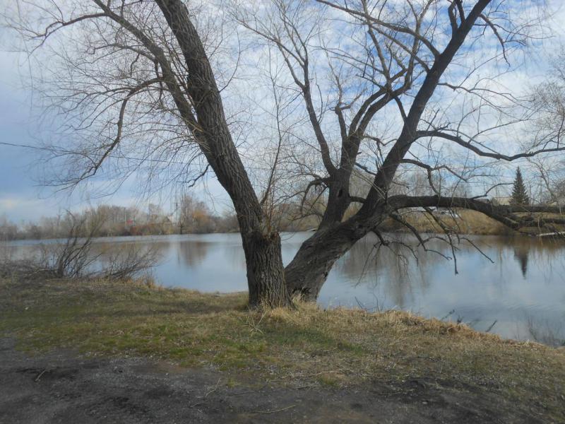 Прикрепленное изображение