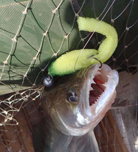 Прикрепленное изображение