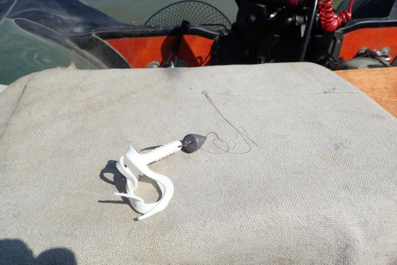 Прикрепленное изображение