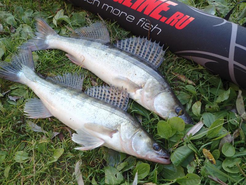 Прикрепленное изображение