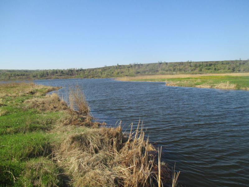 Прикрепленное изображение