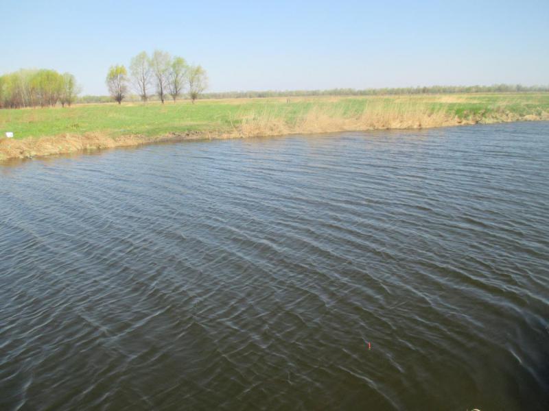 Прикрепленное изображение