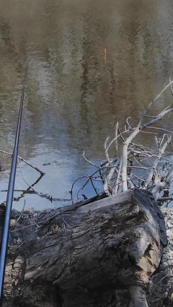 Прикрепленное изображение