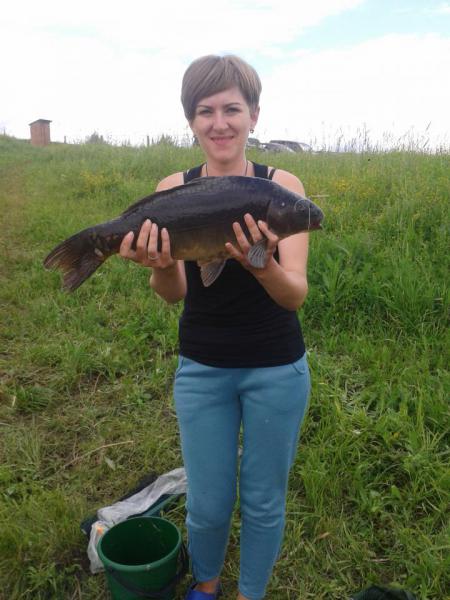 Прикрепленное изображение