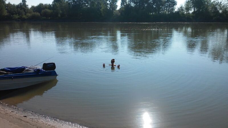 Прикрепленное изображение