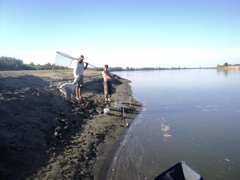 Прикрепленное изображение