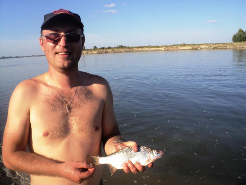 Прикрепленное изображение