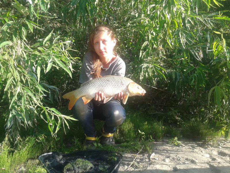 Прикрепленное изображение