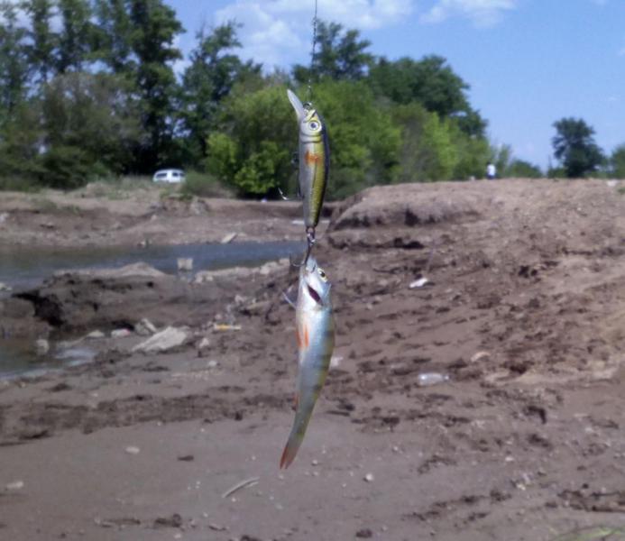 Прикрепленное изображение