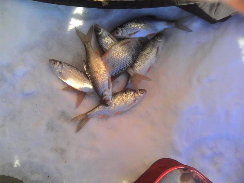 Прикрепленное изображение