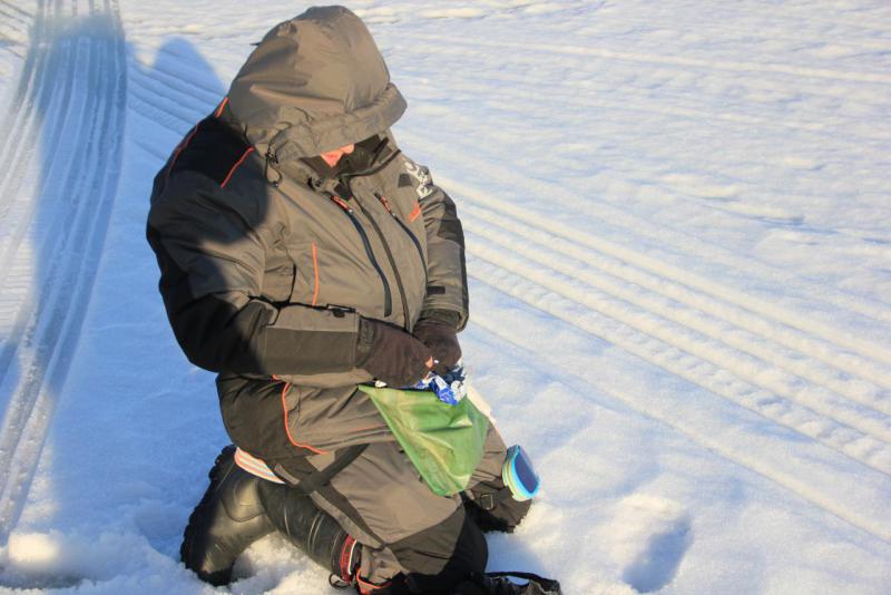 Прикрепленное изображение