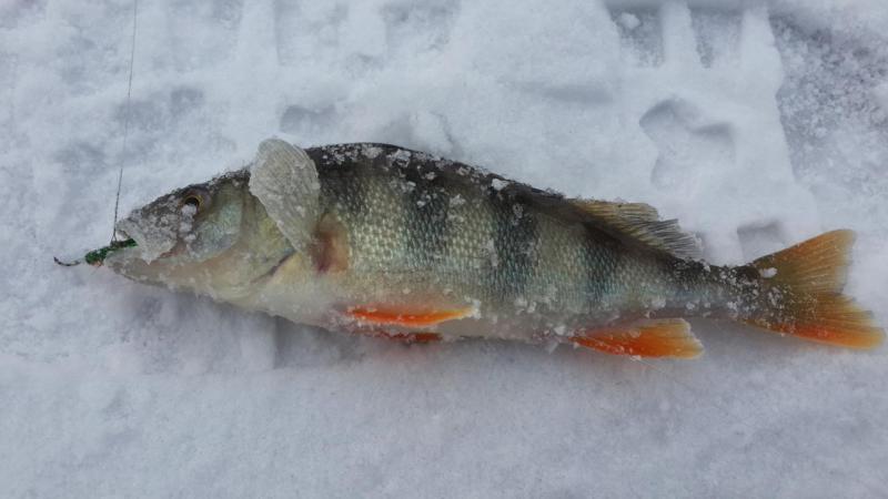 Прикрепленное изображение