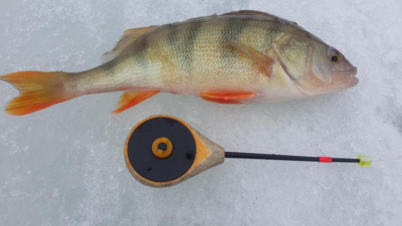 Прикрепленное изображение