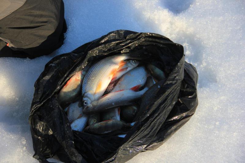 Прикрепленное изображение