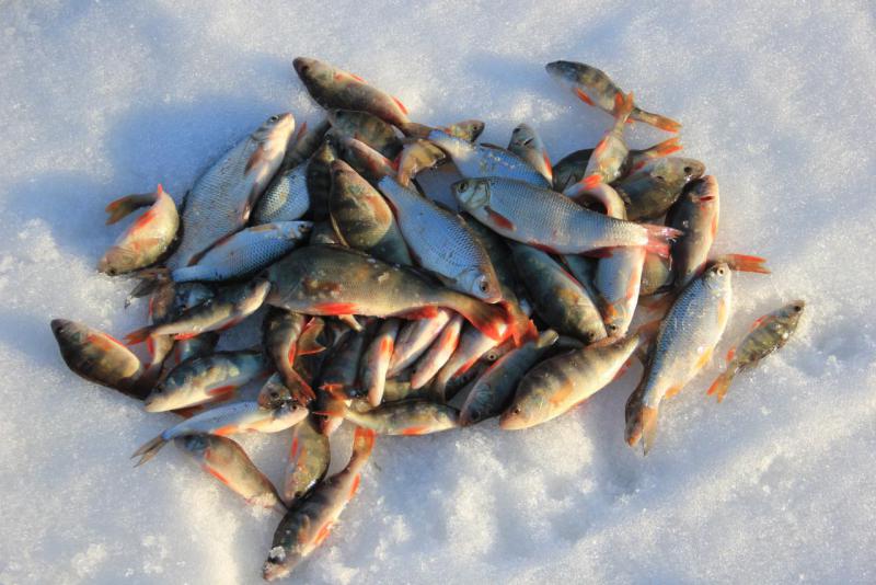 Прикрепленное изображение