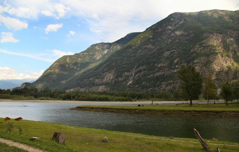 Прикрепленное изображение