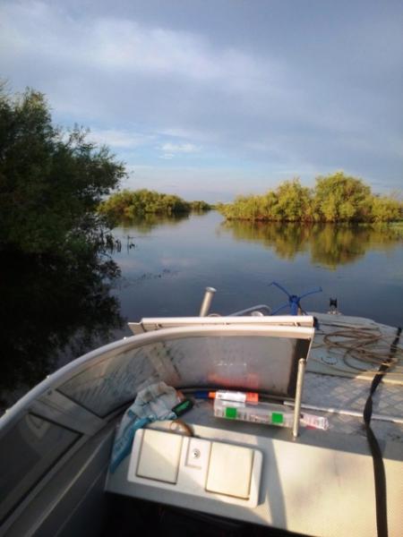 Прикрепленное изображение