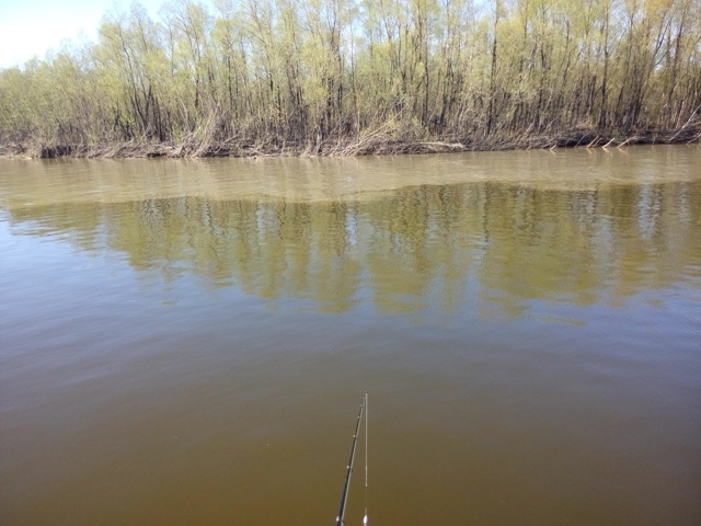 Прикрепленное изображение