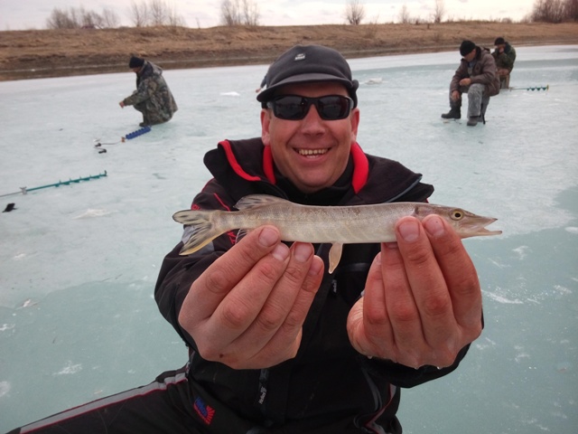 Прикрепленное изображение