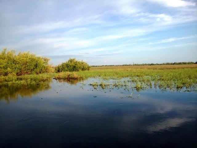 Прикрепленное изображение