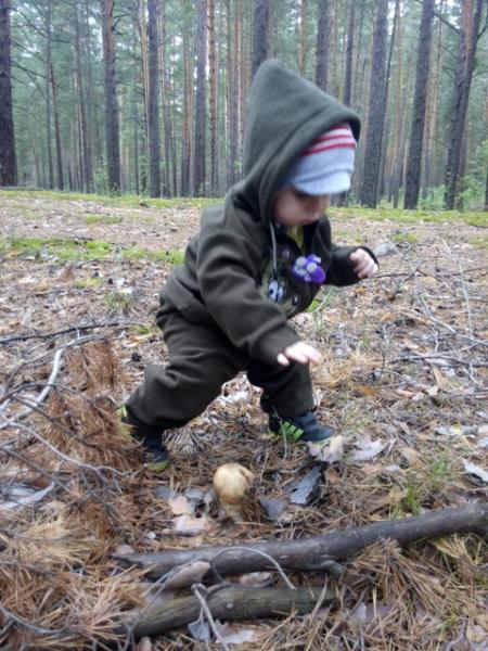 Прикрепленное изображение