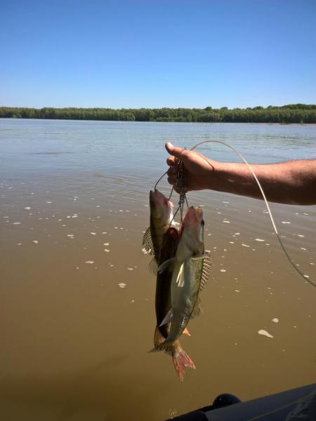 Прикрепленное изображение