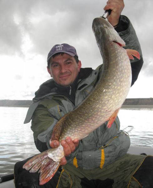 Прикрепленное изображение