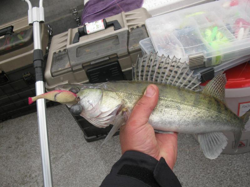 Прикрепленное изображение