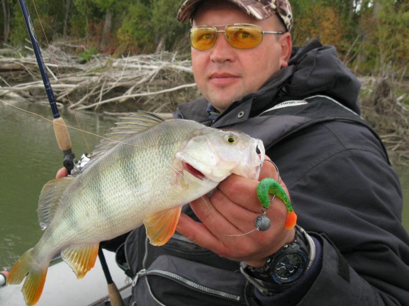 Прикрепленное изображение