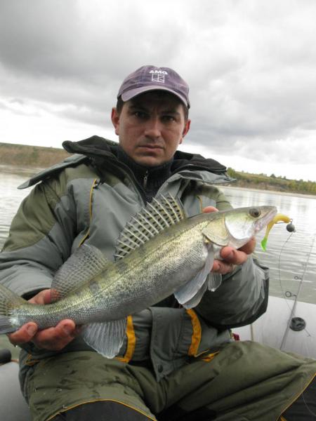 Прикрепленное изображение