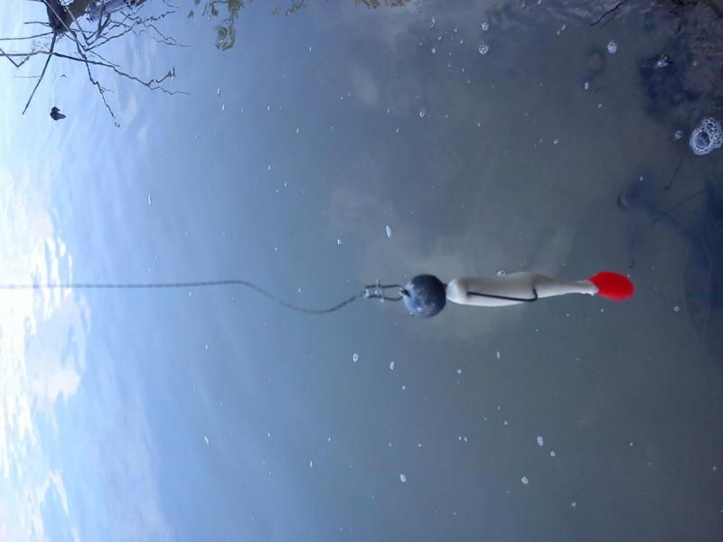 Прикрепленное изображение