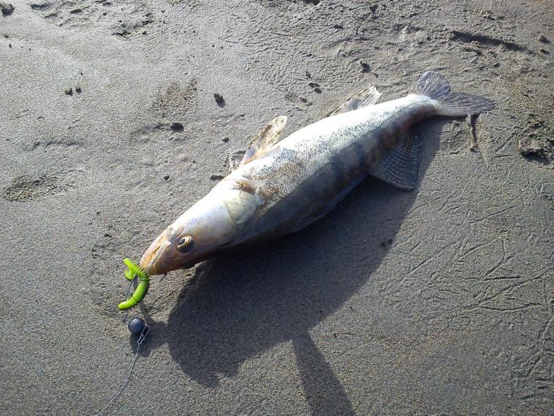 Прикрепленное изображение