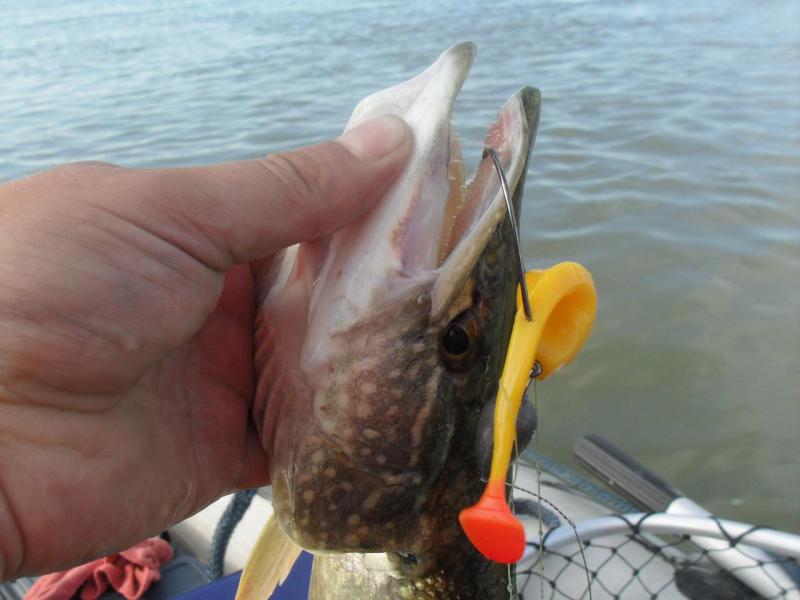 Прикрепленное изображение