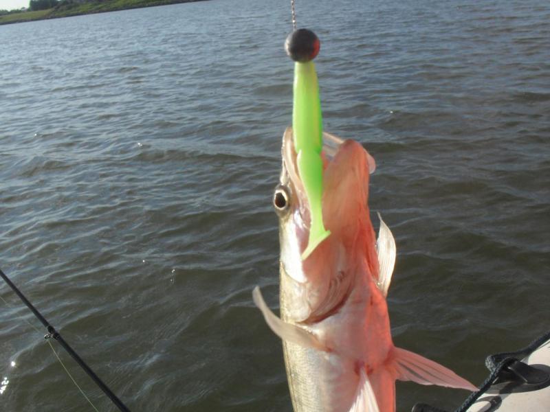 Прикрепленное изображение