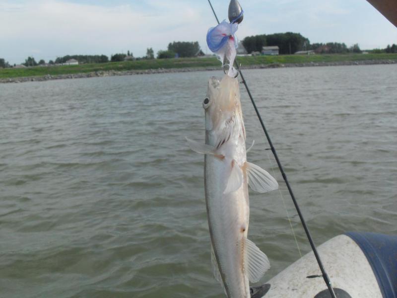 Прикрепленное изображение