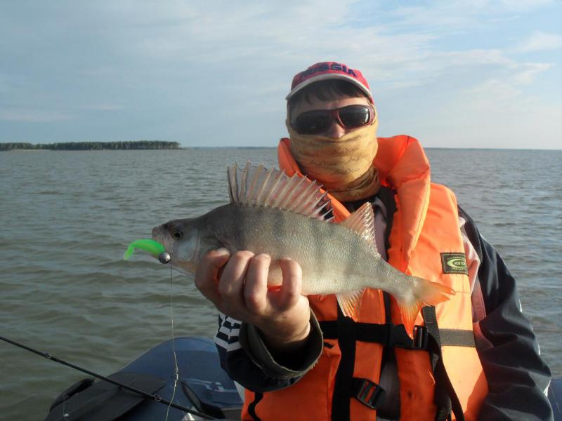 Прикрепленное изображение