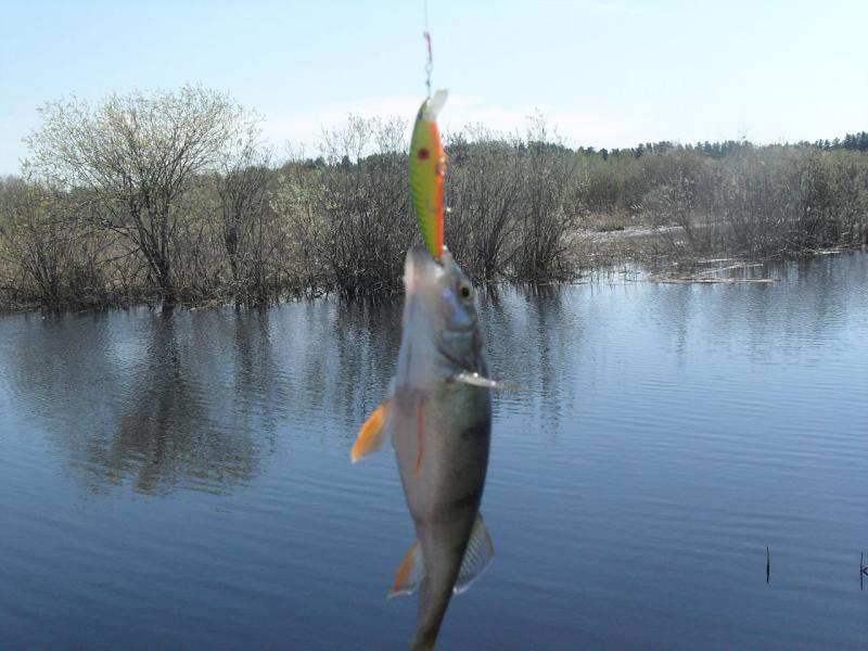 Прикрепленное изображение