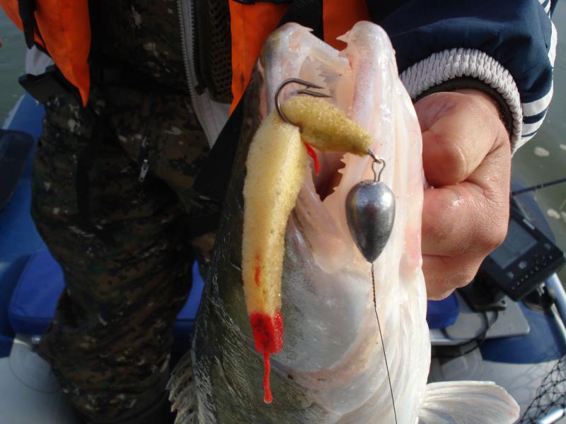 Прикрепленное изображение