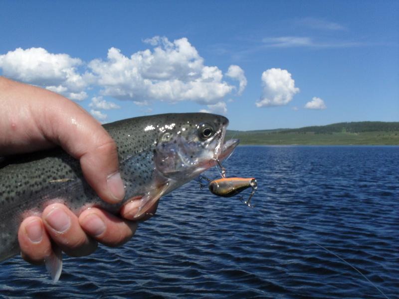 Прикрепленное изображение