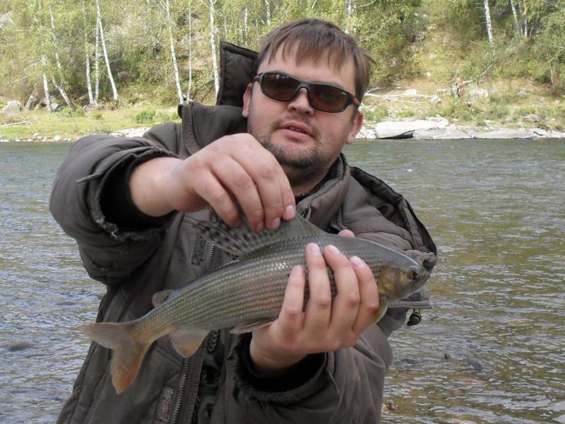 Прикрепленное изображение