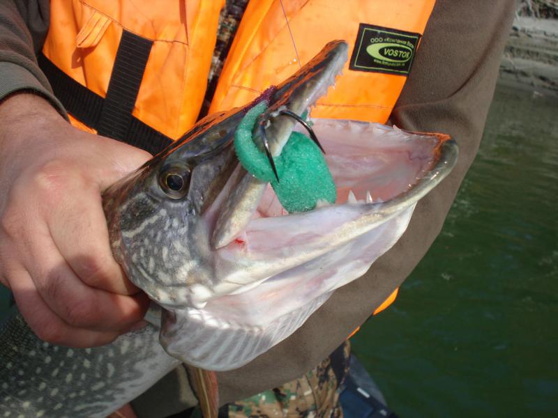 Прикрепленное изображение