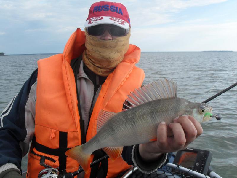 Прикрепленное изображение