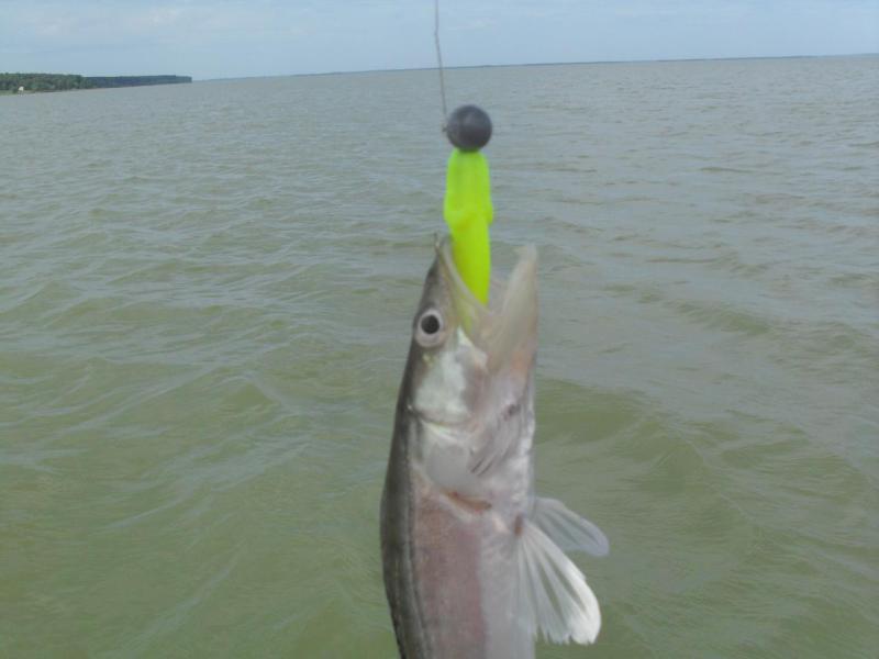 Прикрепленное изображение