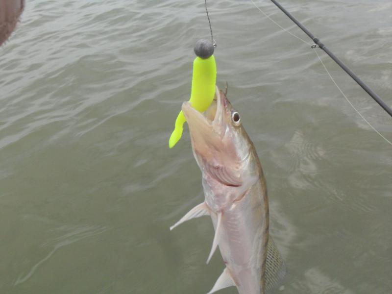 Прикрепленное изображение