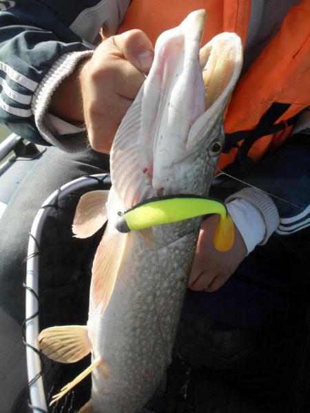 Прикрепленное изображение